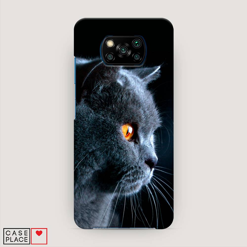 

Пластиковый чехол "Благородный кот британец" на Xiaomi Poco X3 NFC, 39220-1