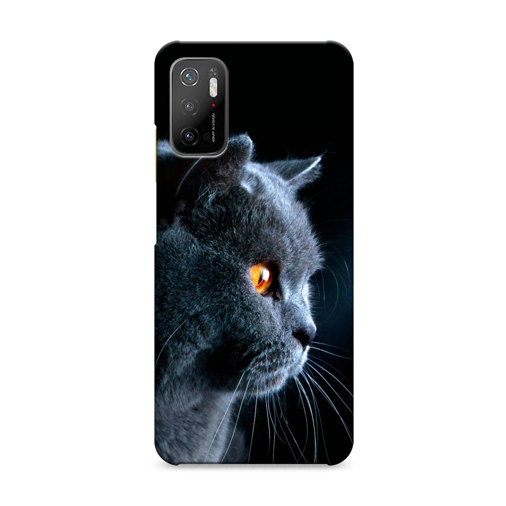 

Пластиковый чехол "Благородный кот британец" на Xiaomi Poco M3 Pro, 311020-1
