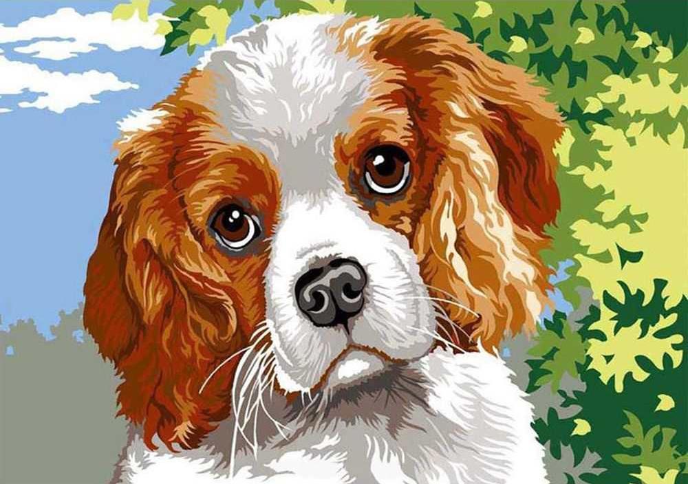 

Картина по номерам Paintboy Кокер-спаниель, 30x40 см, Кокер-спаниель