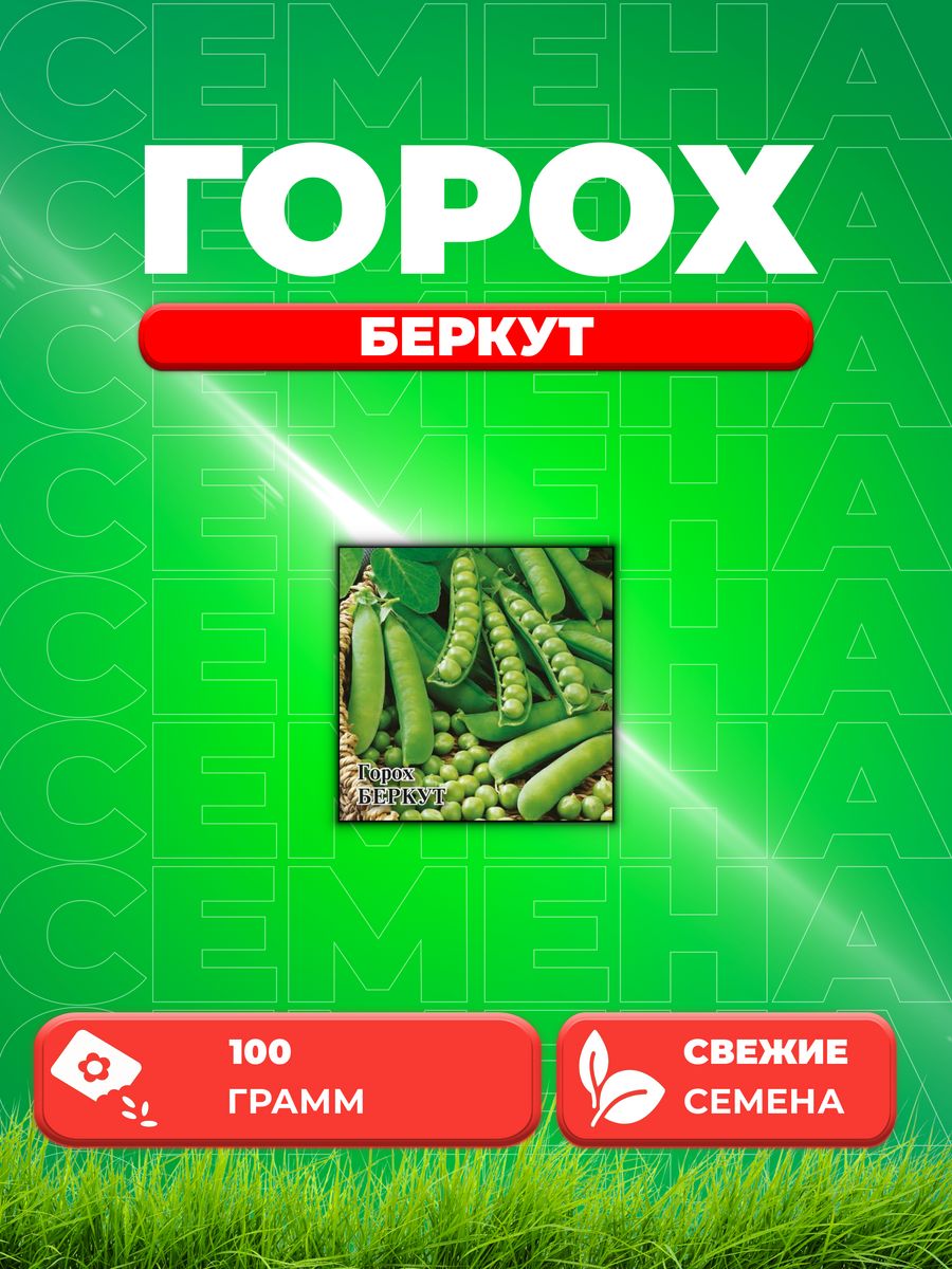 

Семена горох Беркут Гавриш 1999944045-1 1 уп.