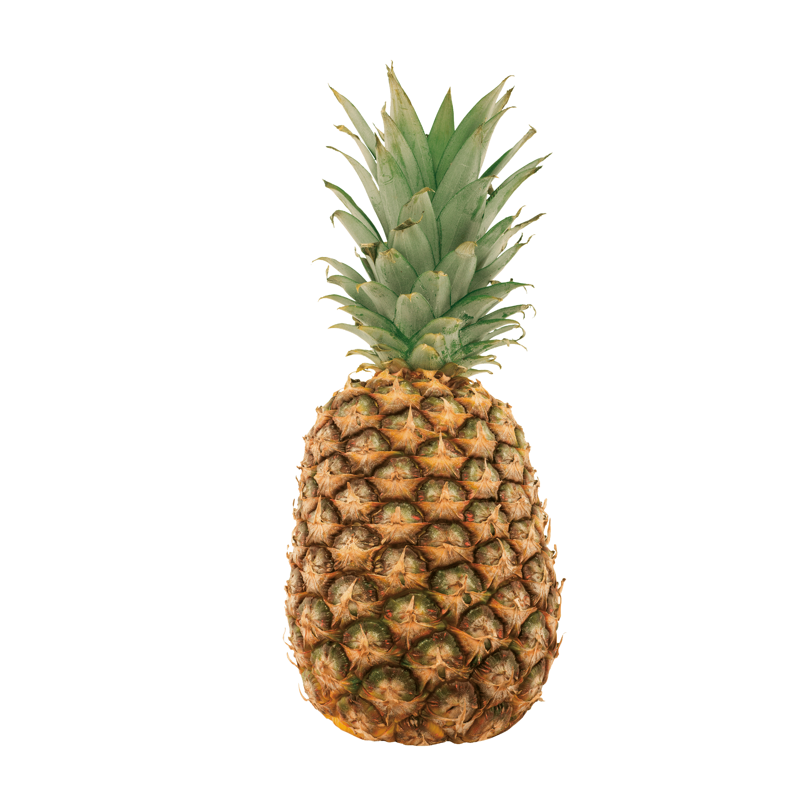 Включи ананас. Ананас Эйлин Грин. Ананас Пальмович. Royal Pineapple ананас. Ананас на белом фоне.