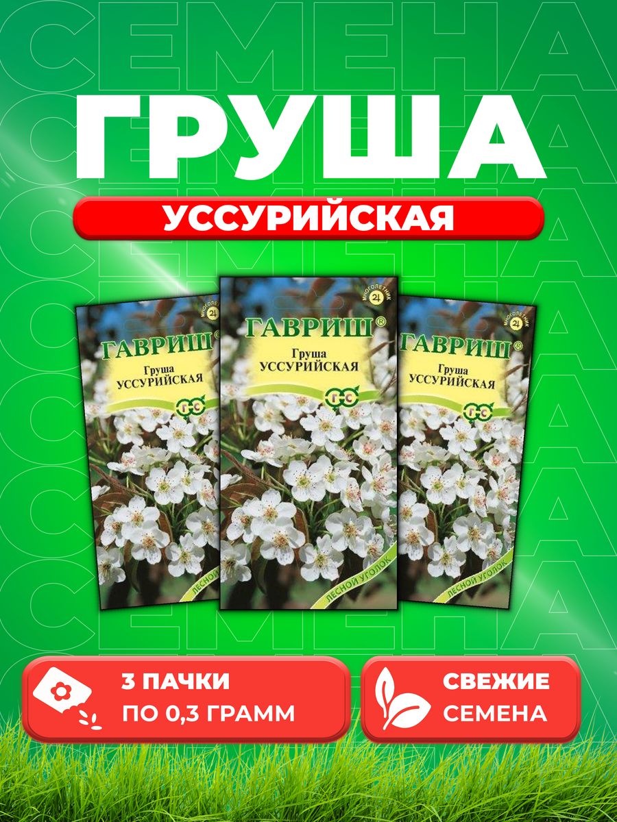 

Семена Семена Груша Уссурийская, 0,3г, Гавриш, Лесной уголок3уп