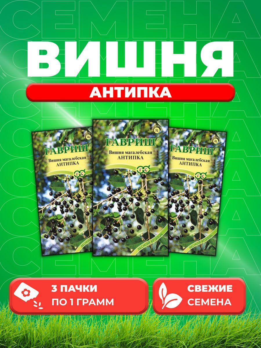 Вишня Семена Купить