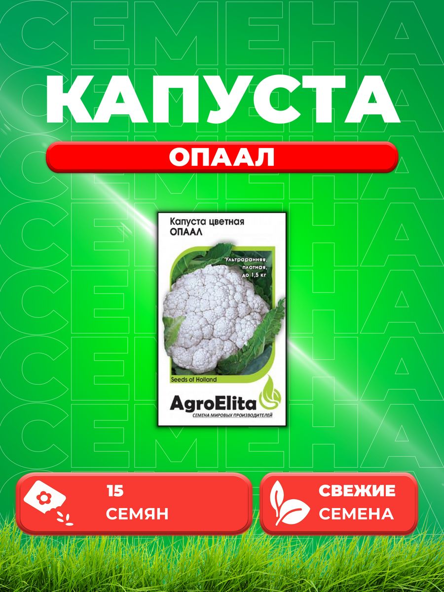 

Семена капуста цветная Опаал AgroElita 1999942129-1 1 уп.