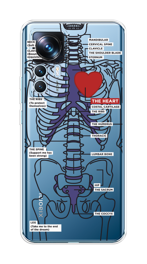 

Чехол на Xiaomi 12T "Скелет человека", Прозрачный;синий;красный, 316650-1