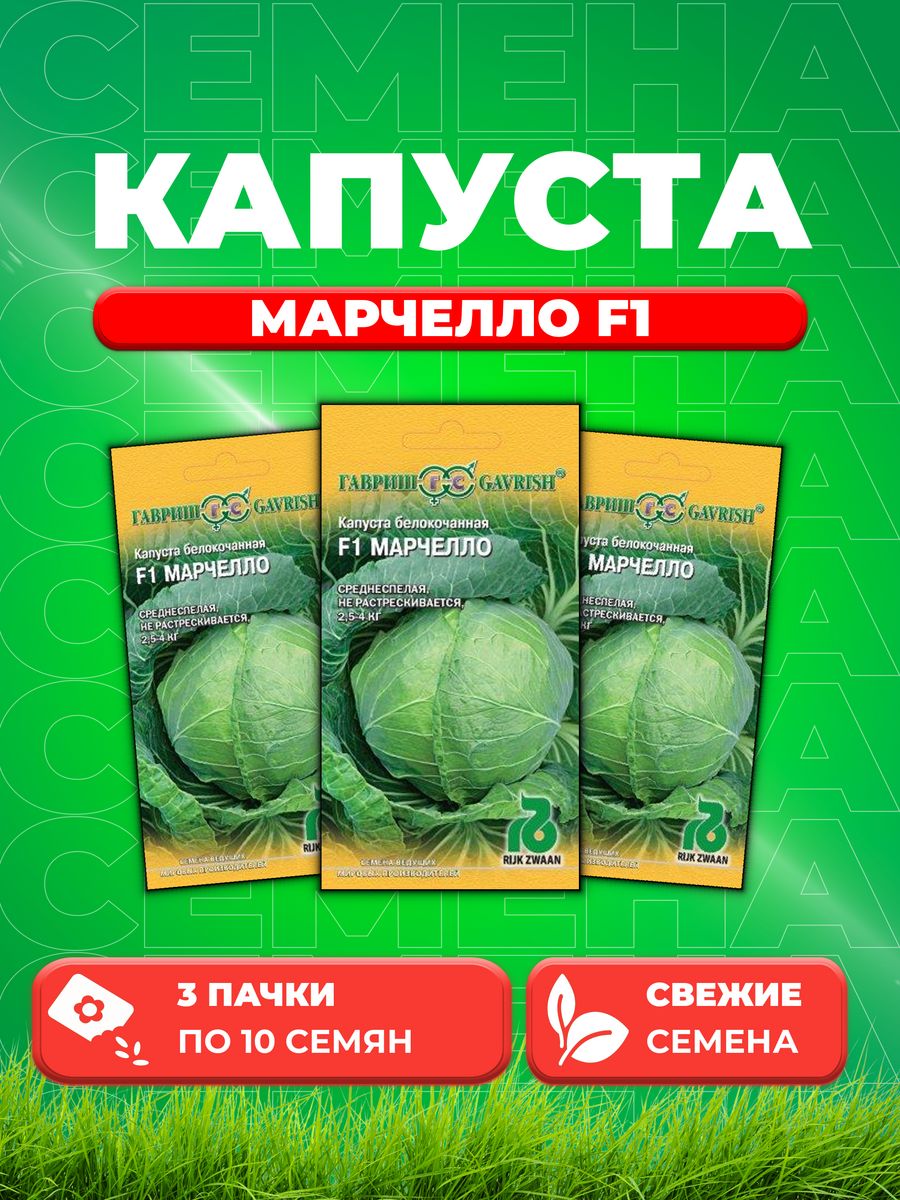 

Семена капуста белокочанная Марчелло F1 Гавриш 1999942105-3 3 уп.