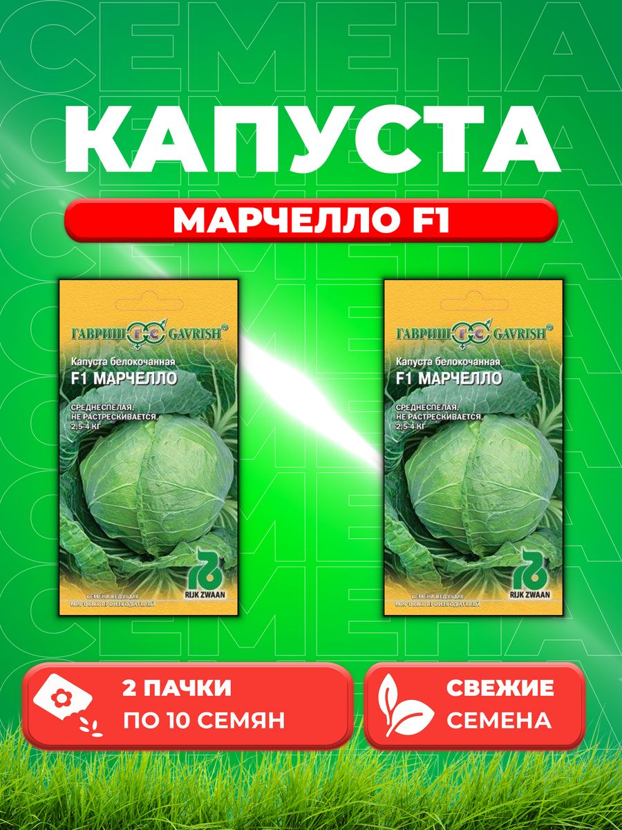 

Семена капуста белокочанная Марчелло F1 Гавриш 1999942105-2 2 уп.