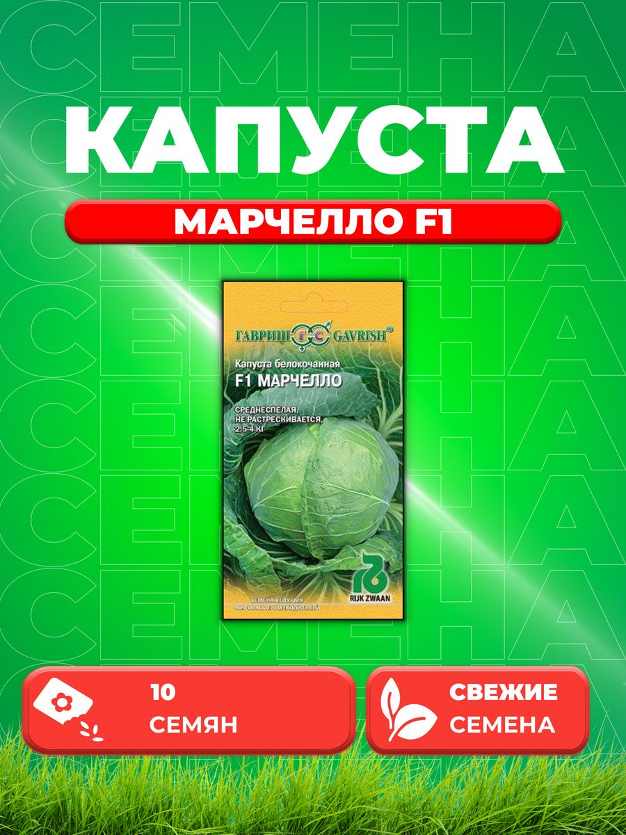 

Семена капуста белокочанная Марчелло F1 Гавриш 1999942105-1 1 уп.