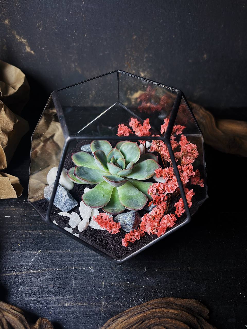 

Флорариум Flolefor с суккулентами Маджента, Белый;прозрачный;розовый;серый;черный, с суккулентами