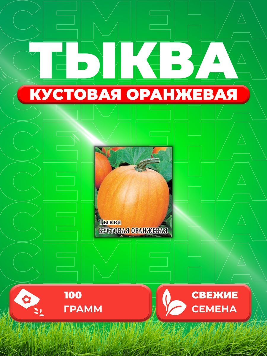 

Семена тыква Гавриш Кустовая Оранжевая 191224659-1 1 уп.