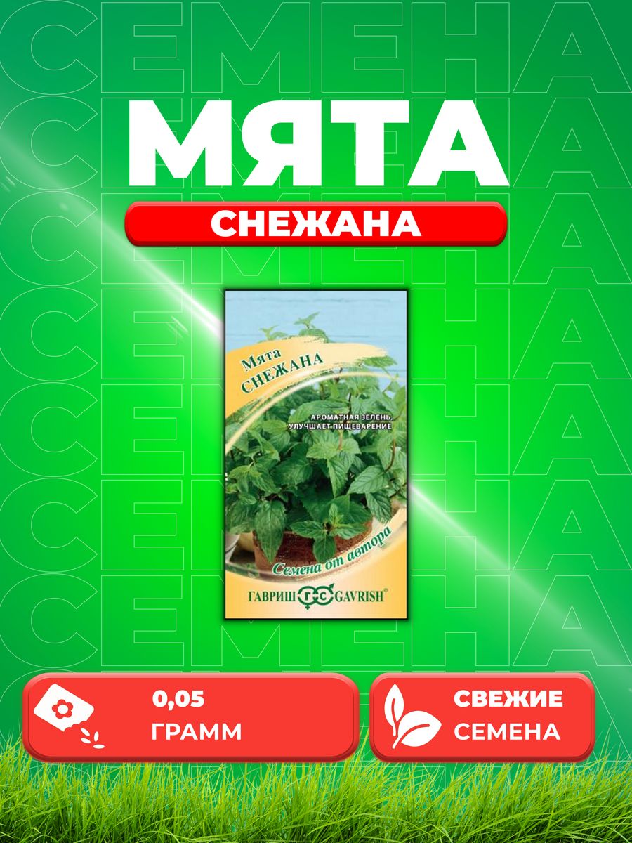 Семена Мяты Купить Недорого