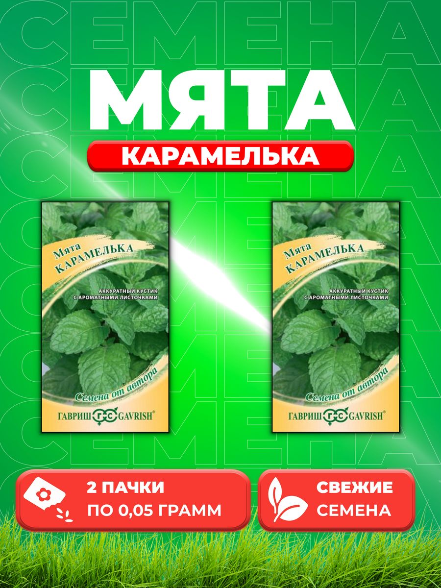 Семена Мяты Купить Недорого