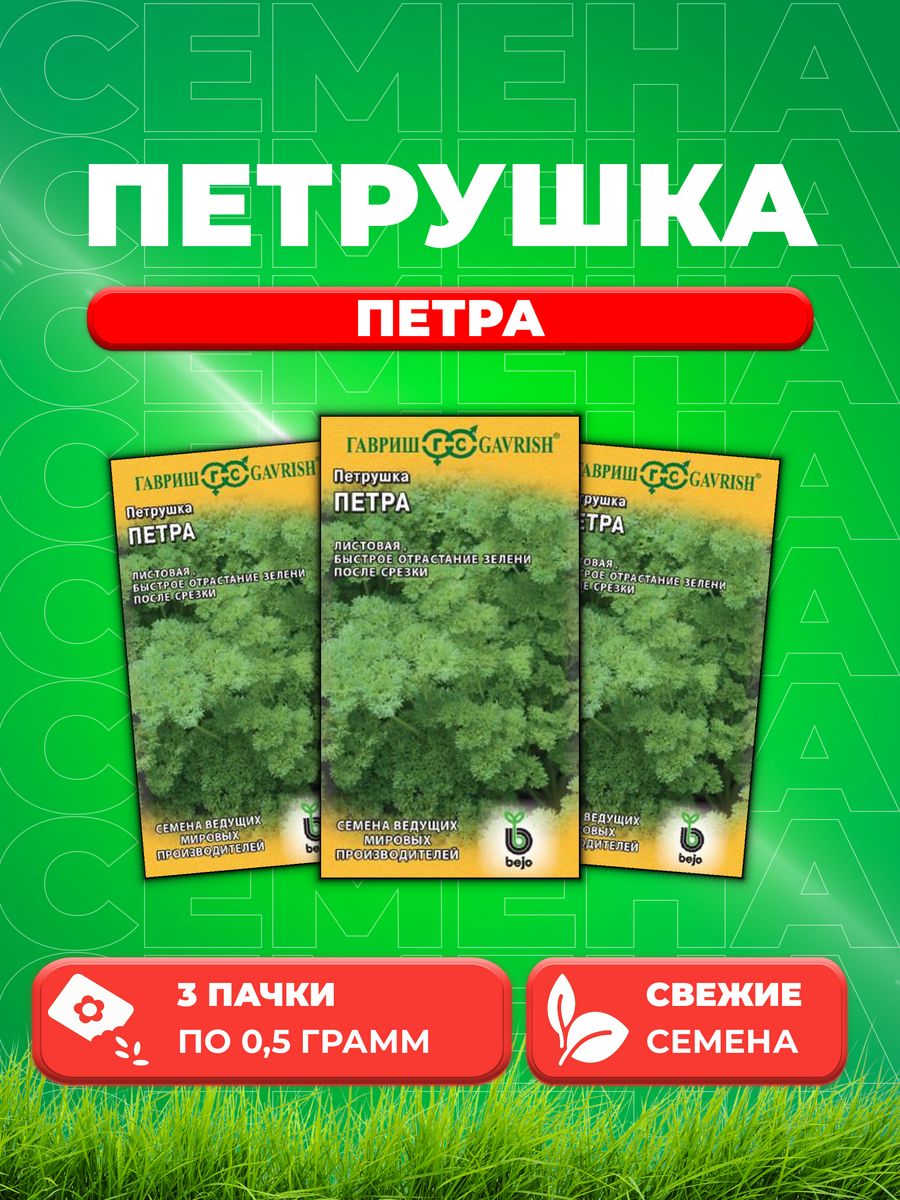 

Семена Петрушка кудрявая Петра 0,5 г Голландия 3уп