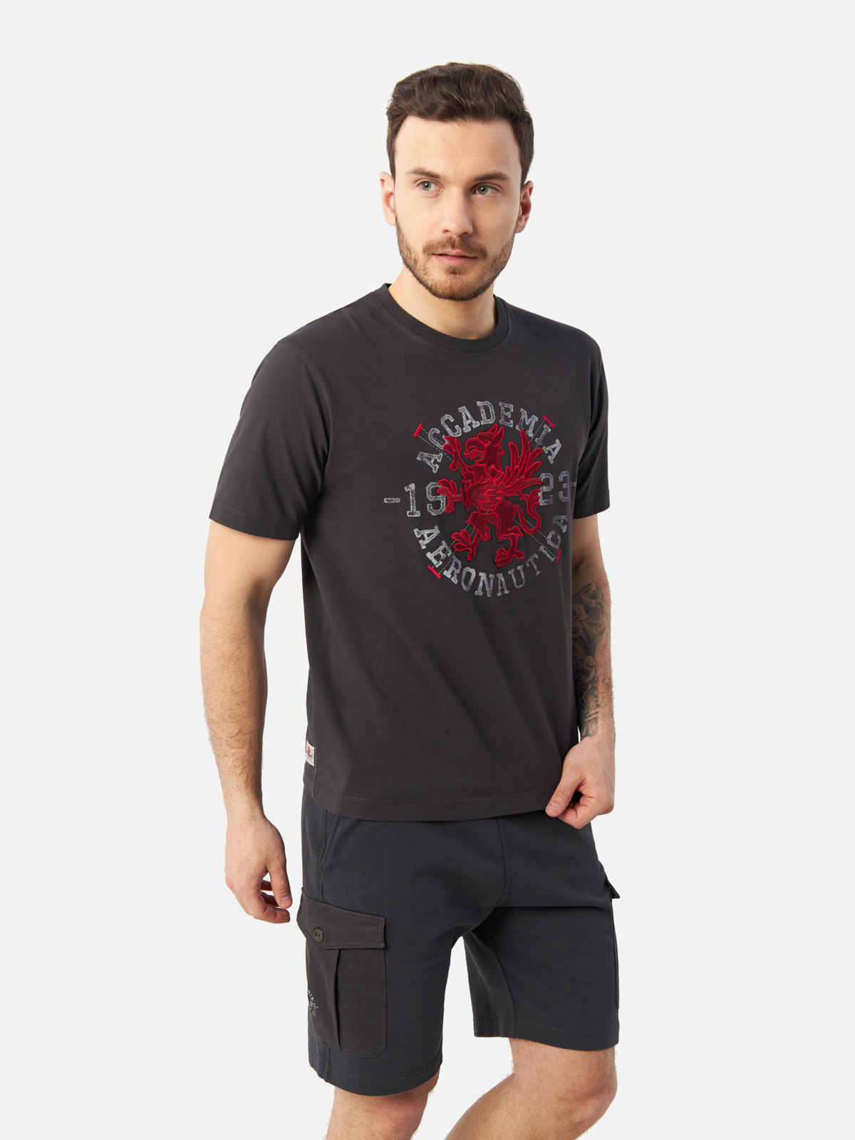 

Футболка мужская Aeronautica Militare TS2202J584 серая XXL, Серый, TS2202J