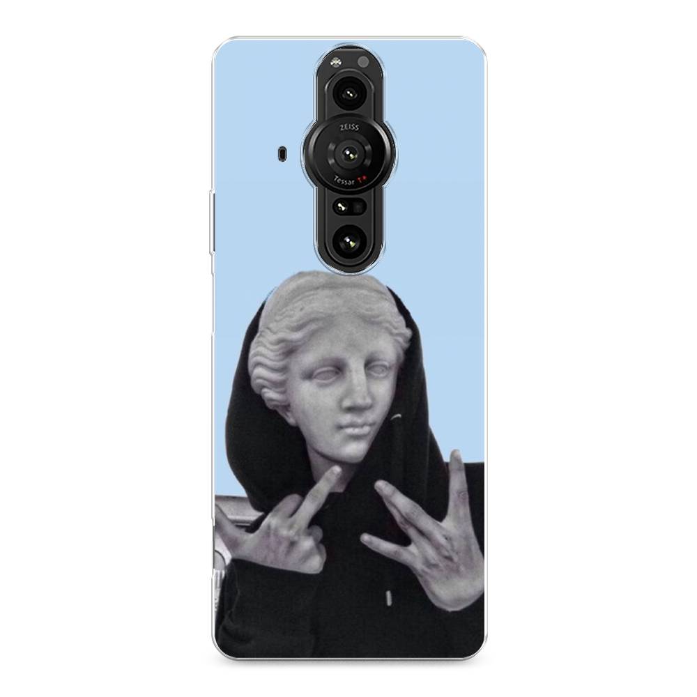 

Чехол Awog на Sony Xperia Pro-I "SWAG статуя", Разноцветный, 55050-9
