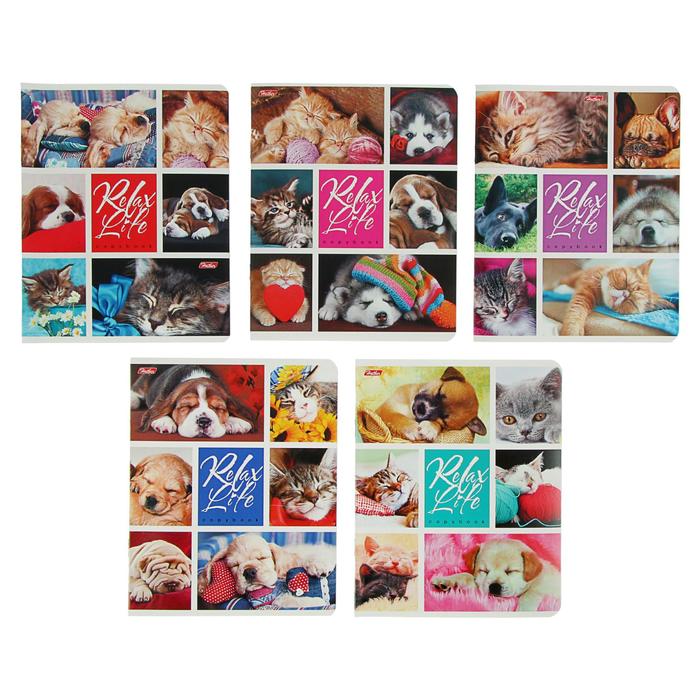 

Тетрадь 24 листа, в клетку, Relax Life, обложка мелованный картон, блок офсет, МИКС