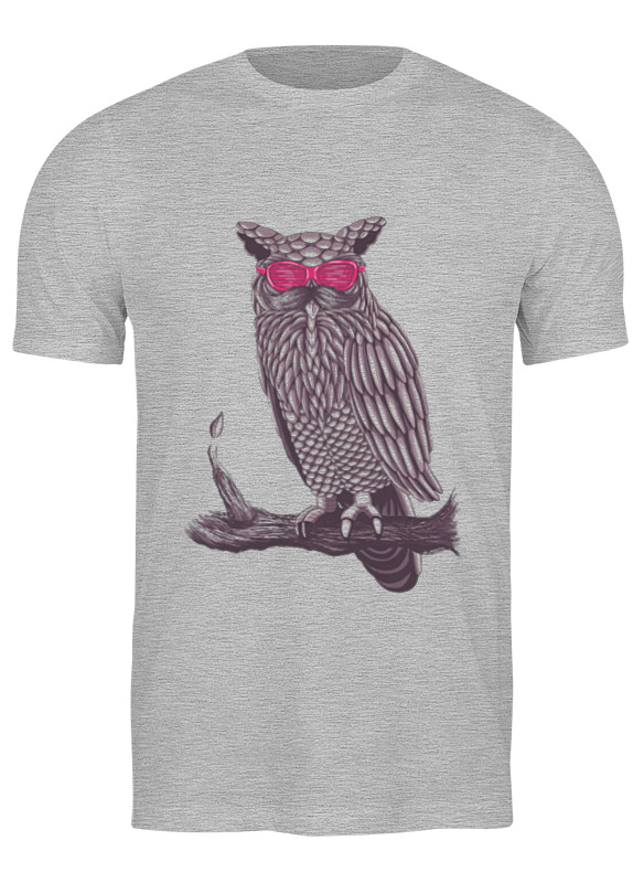 

Футболка мужская Printio Футболка coowl серая 3XL, Серый, Футболка coowl