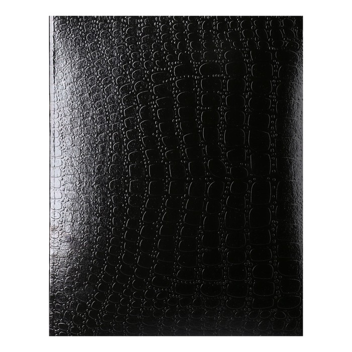 

Тетрадь 48 листов в клетку Croco, бумвинил metallic, тиснение, блок офсет, черный