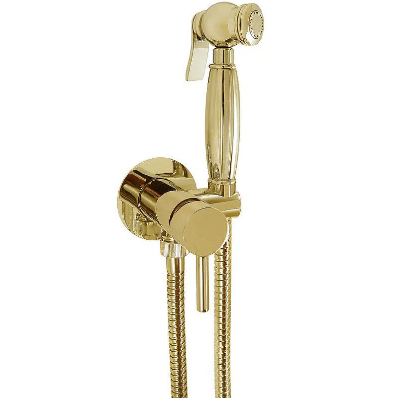 Гигиенический душ со смесителем Giulini Futuro RU-GIU.FSH25/1531DOR Золото 24 карат верхний душ giulini