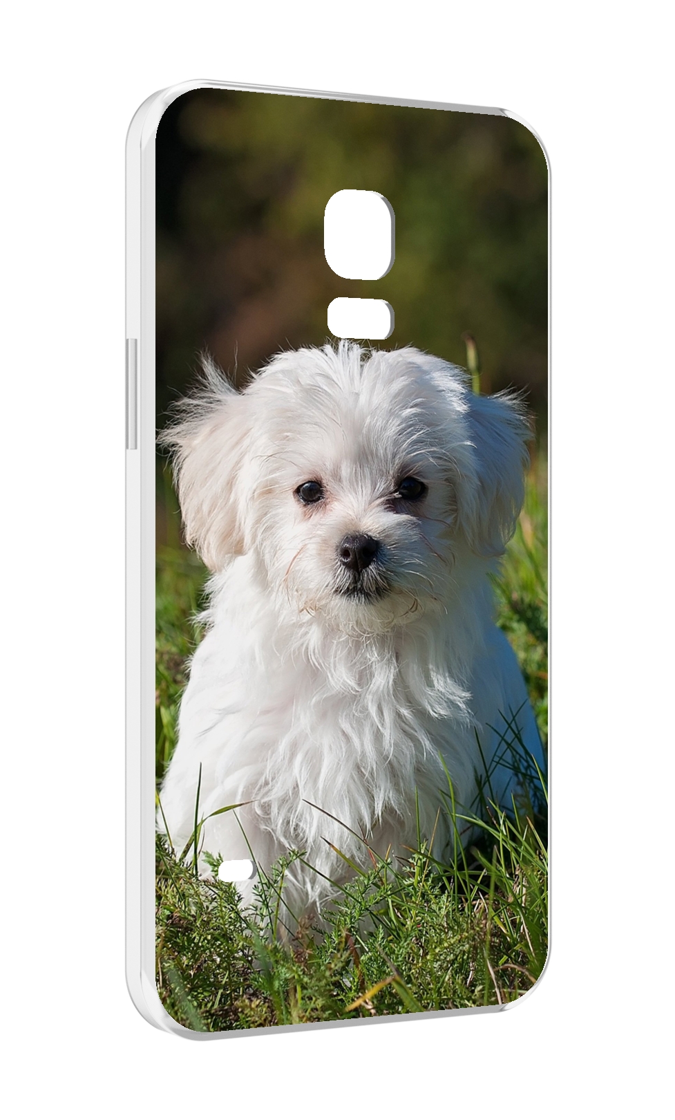 

Чехол MyPads мальтииская-болонка для Samsung Galaxy S5 mini, Прозрачный, Tocco