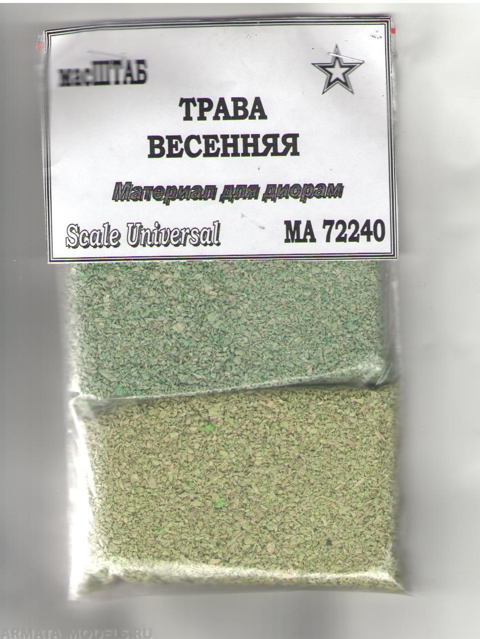 

72240 Трава весенняя