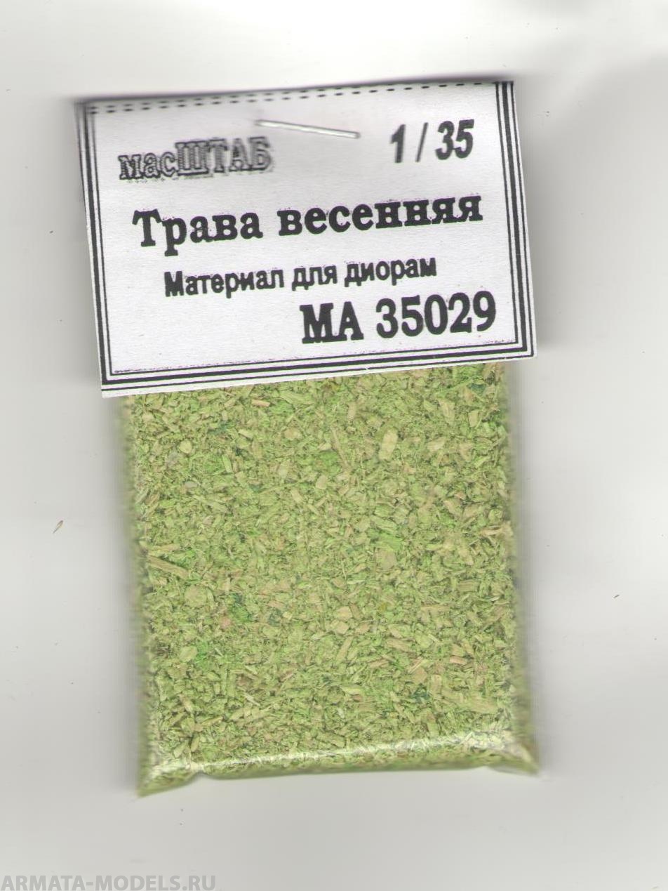 

35029 Трава весенняя