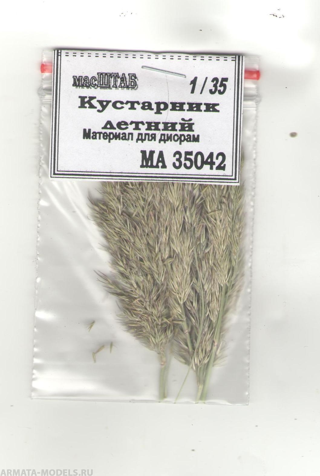 

35042 кустарник летний