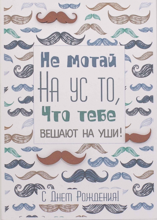 

S097 Открытка Simple Cards 10х15 см - Усач, Разноцветный
