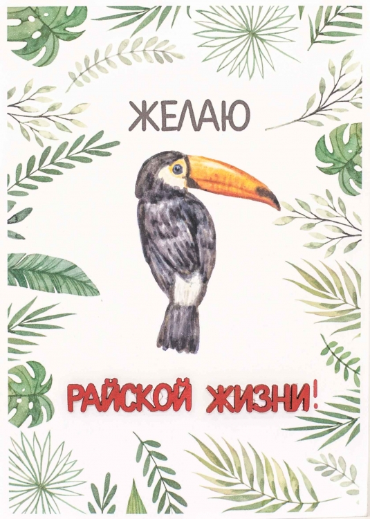 

S077 Открытка Simple Cards 10х15 см - Тукан, Разноцветный