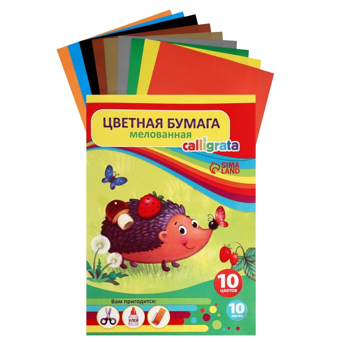 

Бумага цветная А4, 10 листов, 10 цветов "Ёжик в лесу", мелованная, в папке, Разноцветный