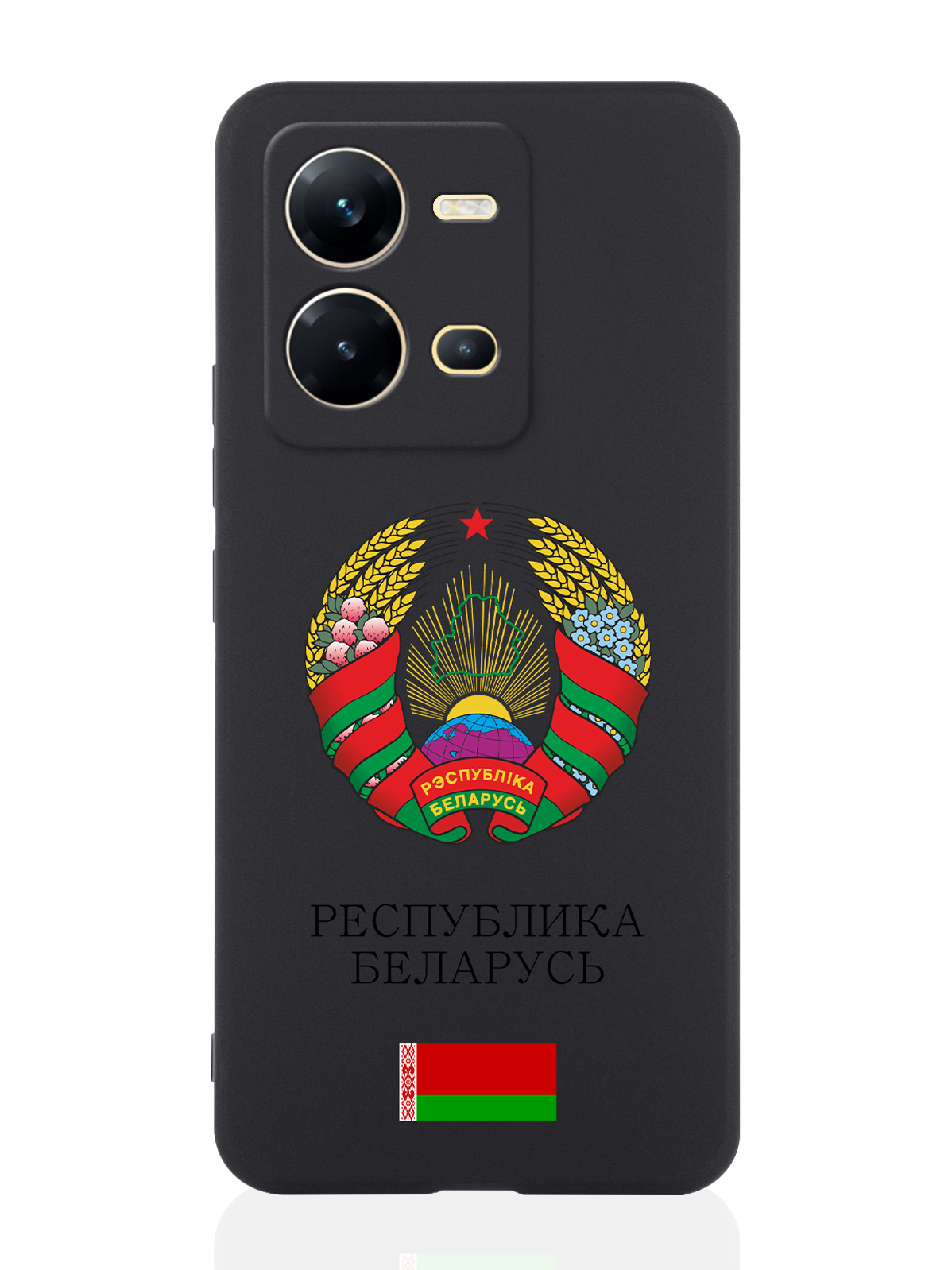 

Чехол для Vivo V25e/V25 Герб Белоруссии/ Герб Беларуси черный, Разноцветный
