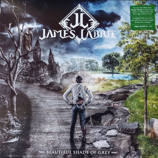 James Labrie Beautiful Shade Of Grey (2LP)