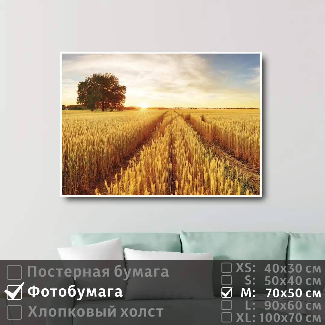 

Постер на фотобумаге ПолиЦентр Восход солнца над пшеничным полем 70х50 см, ВосходСолнцаНадПшеничнымПолем