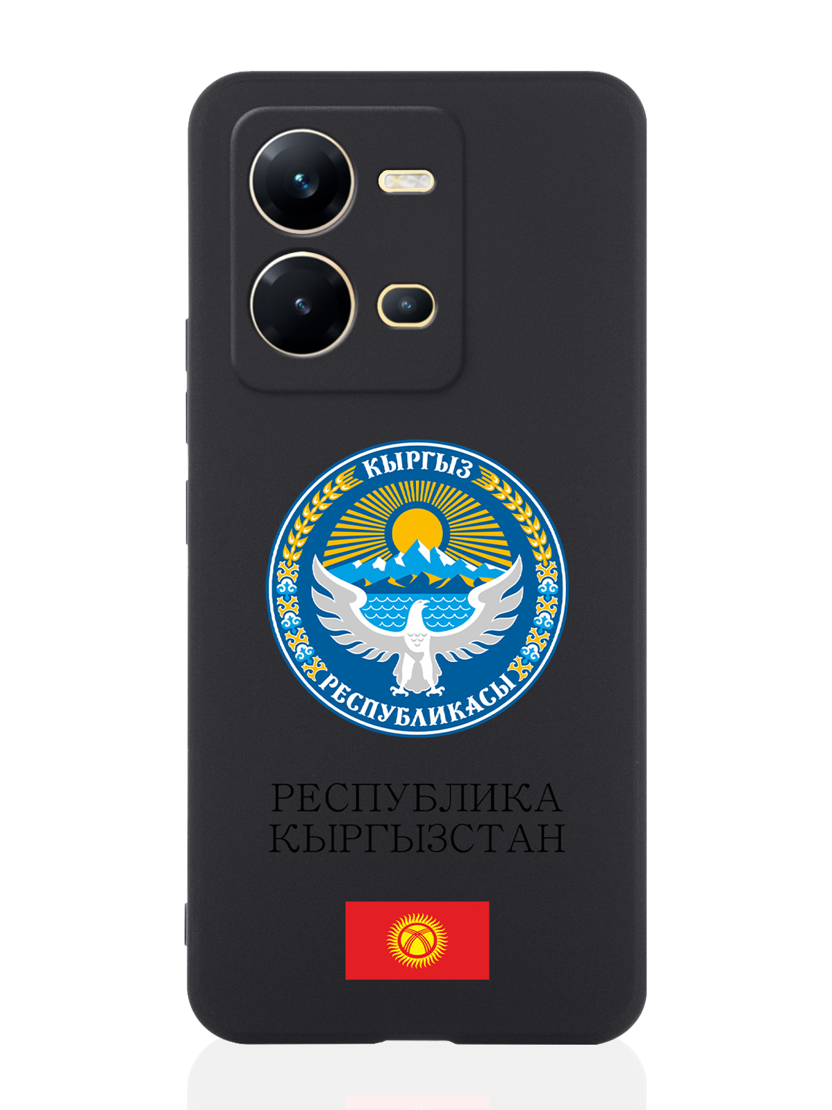 

Чехол для Vivo V25e/V25 Герб Кыргызстана/ Киргизии черный, Разноцветный