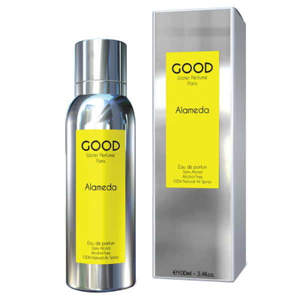 

Парфюмированная вода Good Perfume Alameda 100мл, Alameda