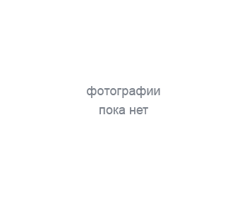 Сибртех Колесо неповоротное d-100мм, крепление  платформенное// Сибртех