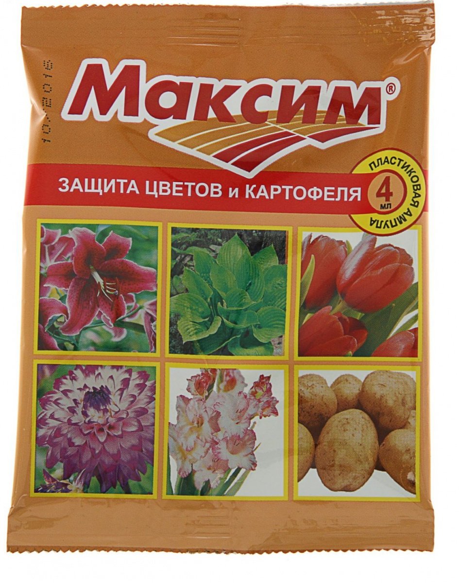 Максим пакет 4мл/ВХ