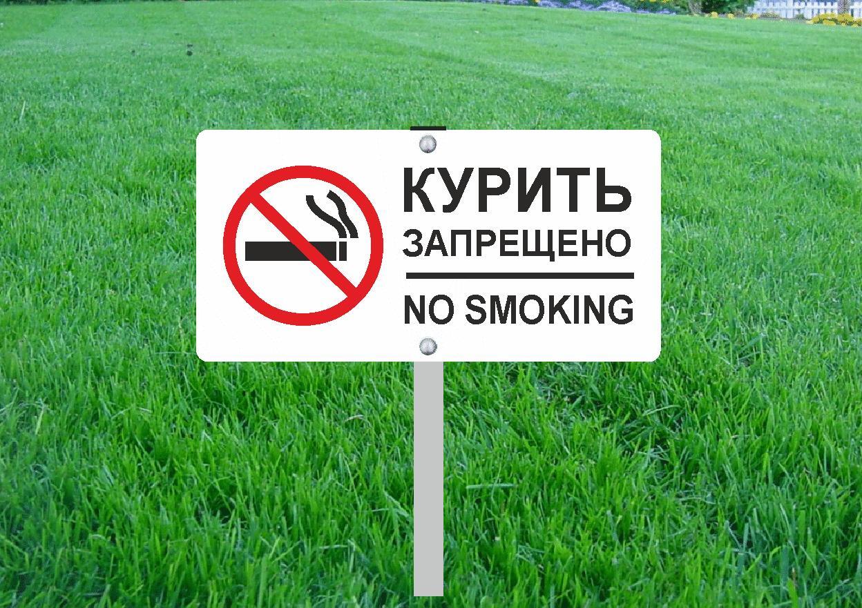 

Табличка на стойке-топпер Курить запрещено,no smoking 40х20см, Белый;красный;черный, Курить запрещено