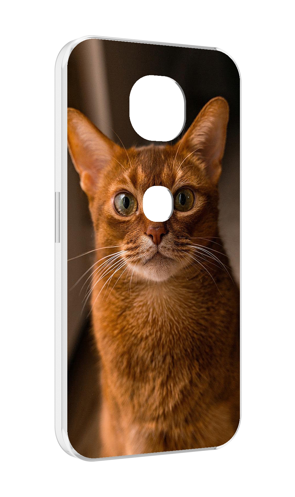 Чехол MyPads порода кошки абисинская для Motorola Moto G5S (XT1799-2)