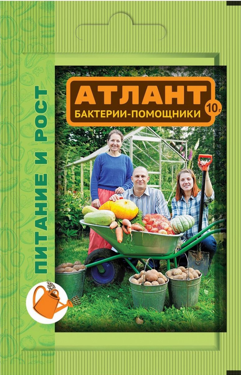 Атлант 10г