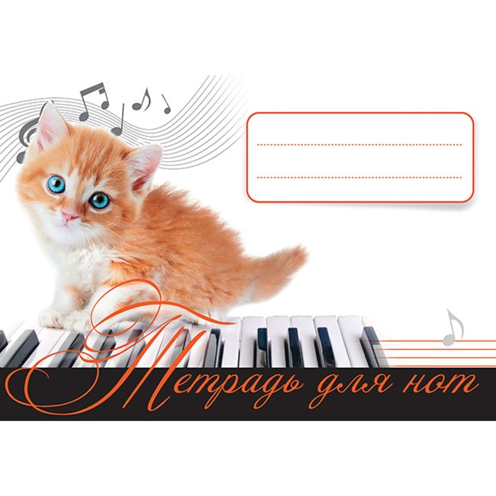 

Музыка для детей. Тетрадь для нот. Рыжий котенок., Музыка для детей
