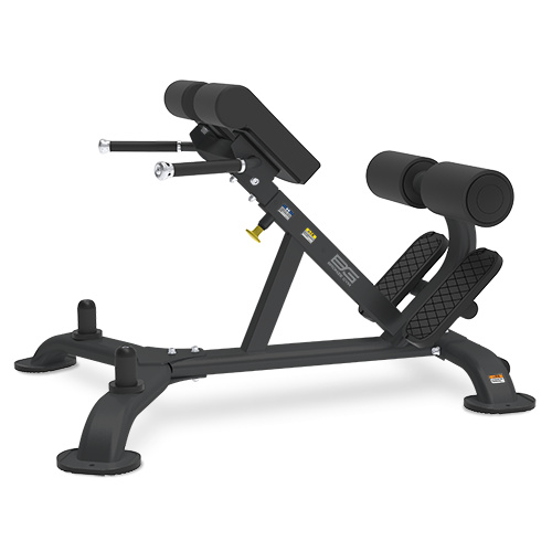 

Bronze Gym BR-1010, BR-1010