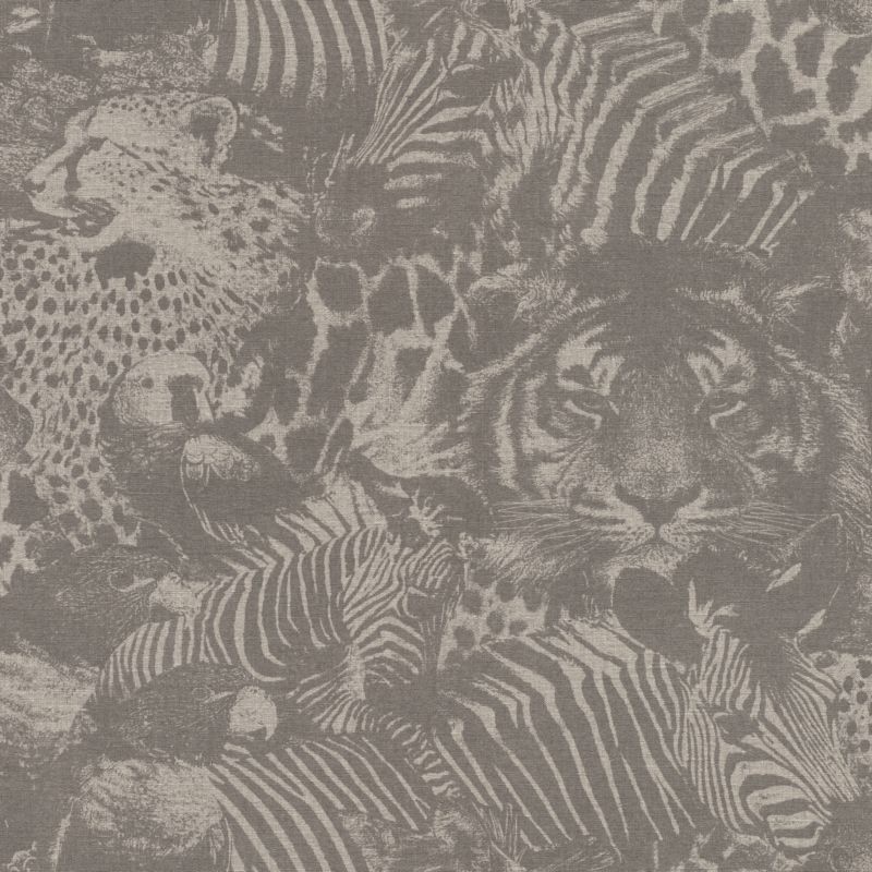 

Rasch Kalahari 704730