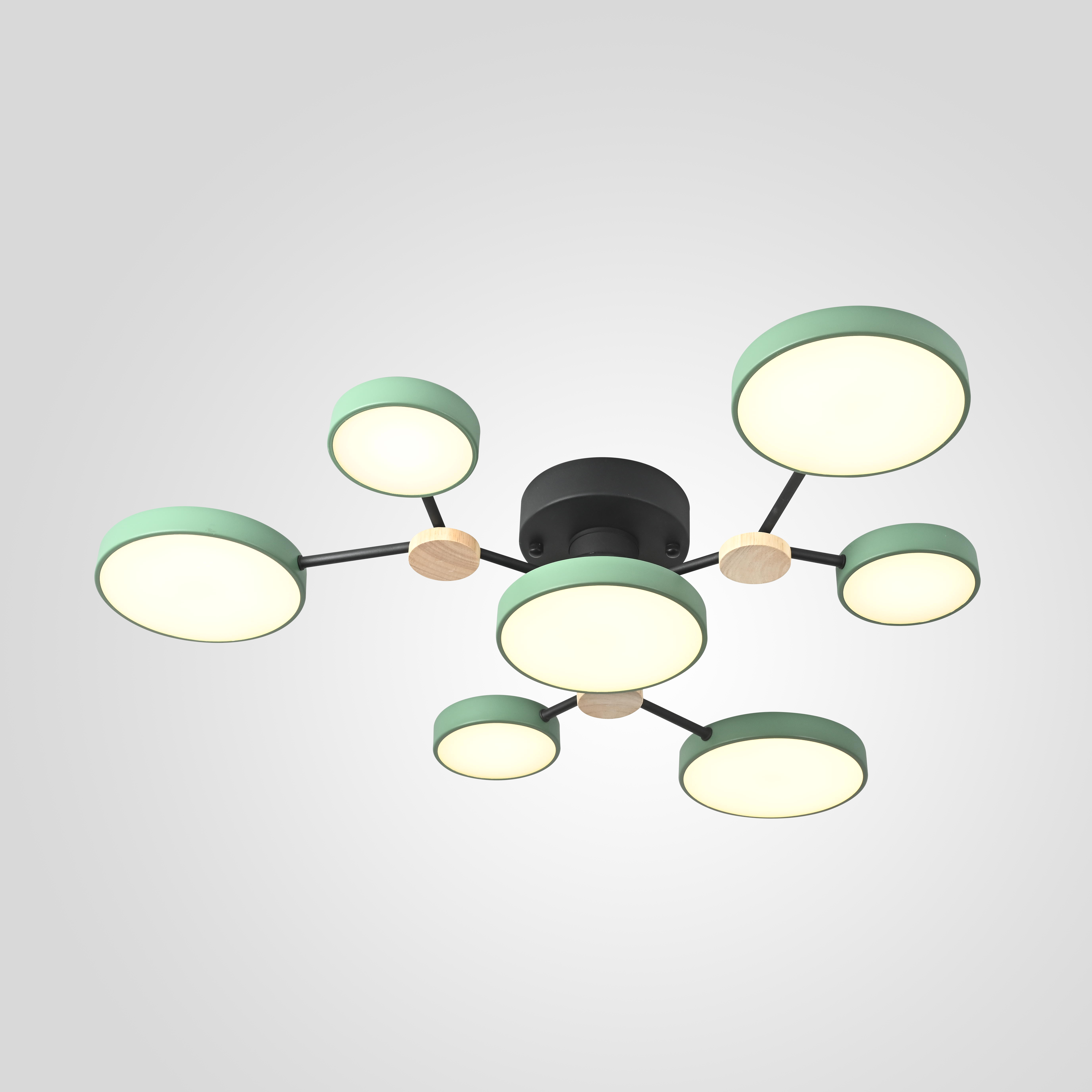 

Потолочная люстра GAMMA D88 Green Модель 223771-23, 223771-23