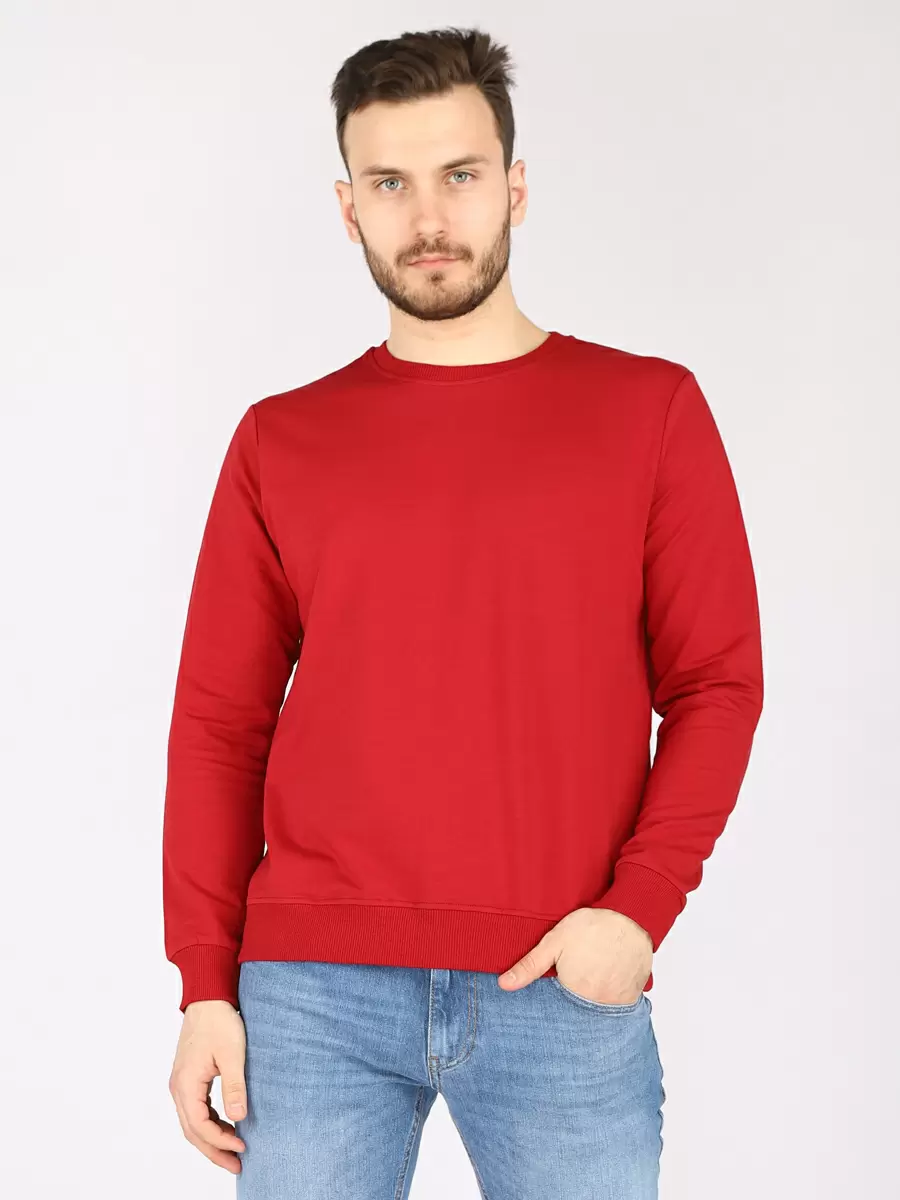 

Свитшот мужской A passion play SQ69018 бордовый M, SQ69018
