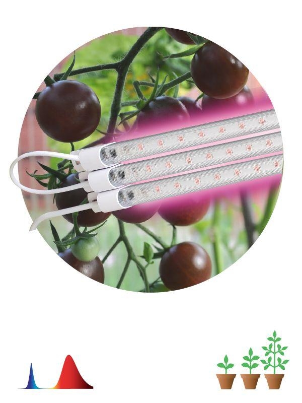 Светильник FITO-3х10W-LINE-RB90 | код Б0050924 | Эра (1 шт.) настольный светильник для растений эра fito 20w qled g полного спектра 20 вт серый