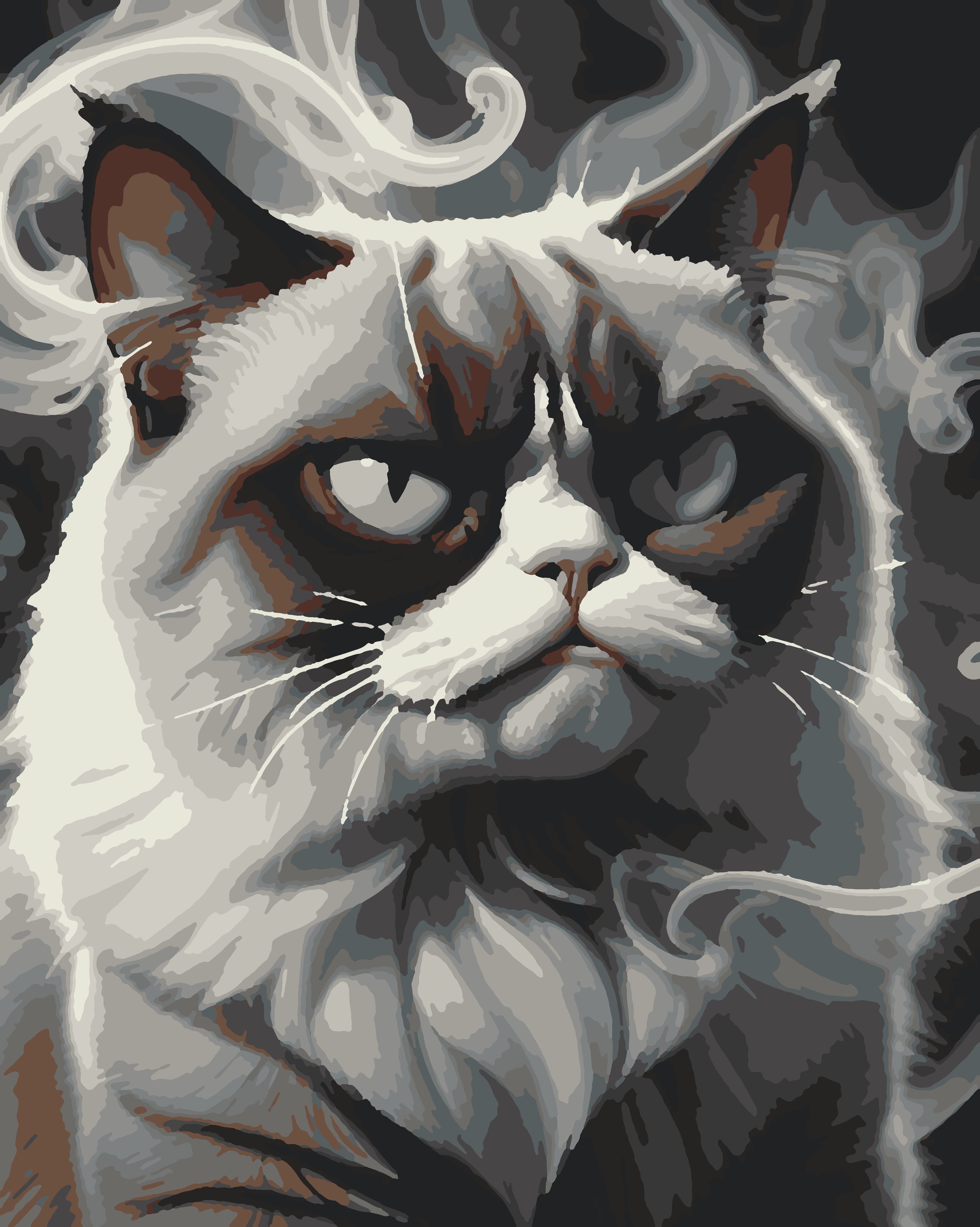 Картина по номерам ТТ Угрюмый Кот, холст на подрамнике 40х50