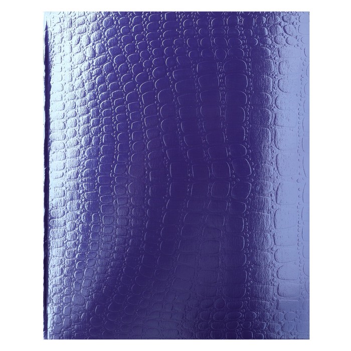 

Тетрадь 48 листов, в клетку, Croco, бумвинил metallic, тиснение, блок офсет, цвет фиолетов