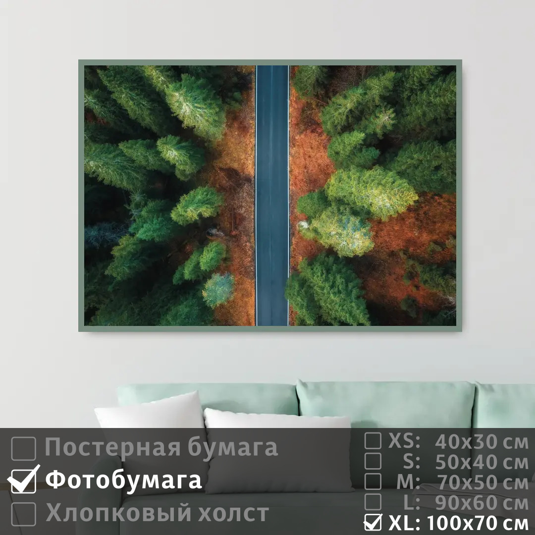 

Постер на фотобумаге ПолиЦентр Над шоссе через леса 100х70 см, НадШоссеЧерезЛеса1