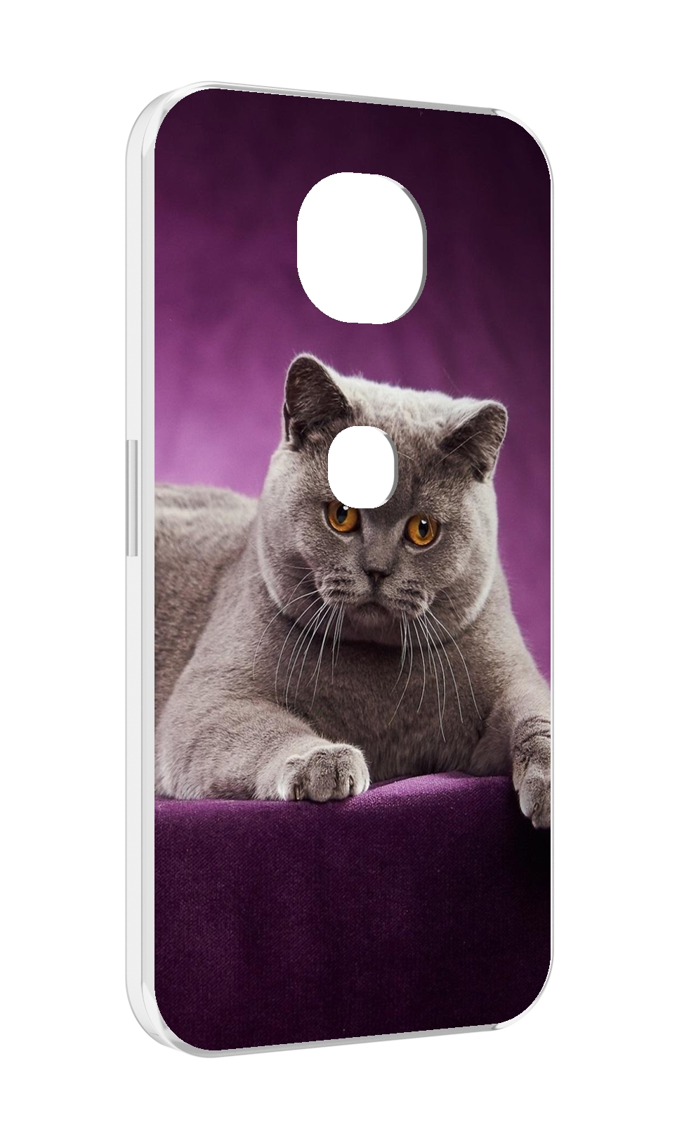 

Чехол MyPads кошка британская короткая для Motorola Moto G5S (XT1799-2), Прозрачный, Tocco